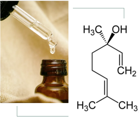 精油化学 | 芳樟醇 | 调香原料