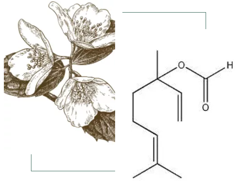 精油化学 | 乙酸芳樟酯 | 调香原料