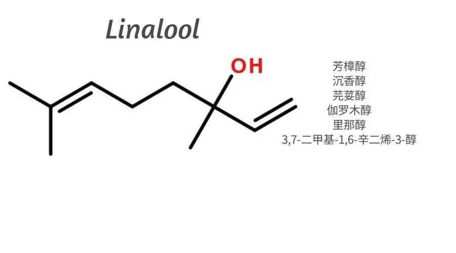 调香合成原料学习|芳樟醇