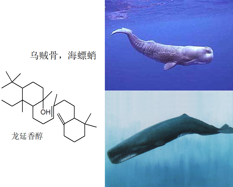 香精与香料(4)-天然香料