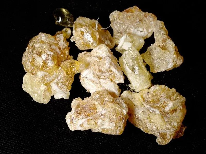 香精与香料(11)-脂蜡香,膏香