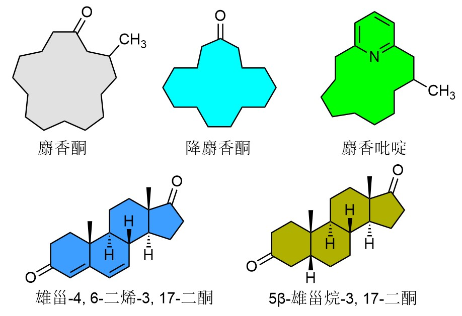香精与香料(17)-香型与分子结构特征的关系