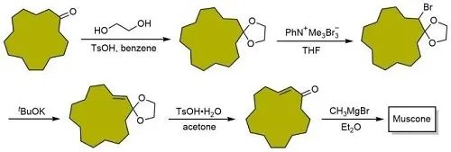 香精与香料(17)-香型与分子结构特征的关系