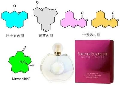 香精与香料(17)-香型与分子结构特征的关系