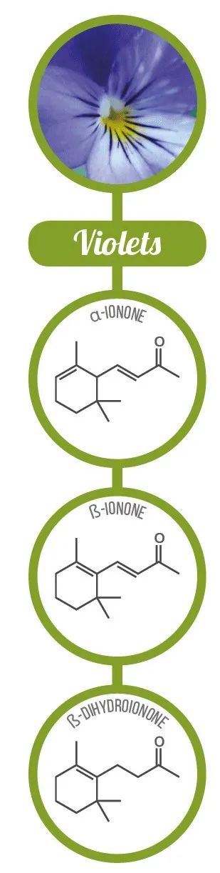 香精与香料(17)-香型与分子结构特征的关系