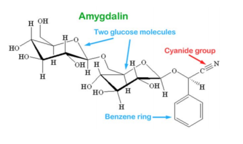 香精与香料(17)-香型与分子结构特征的关系