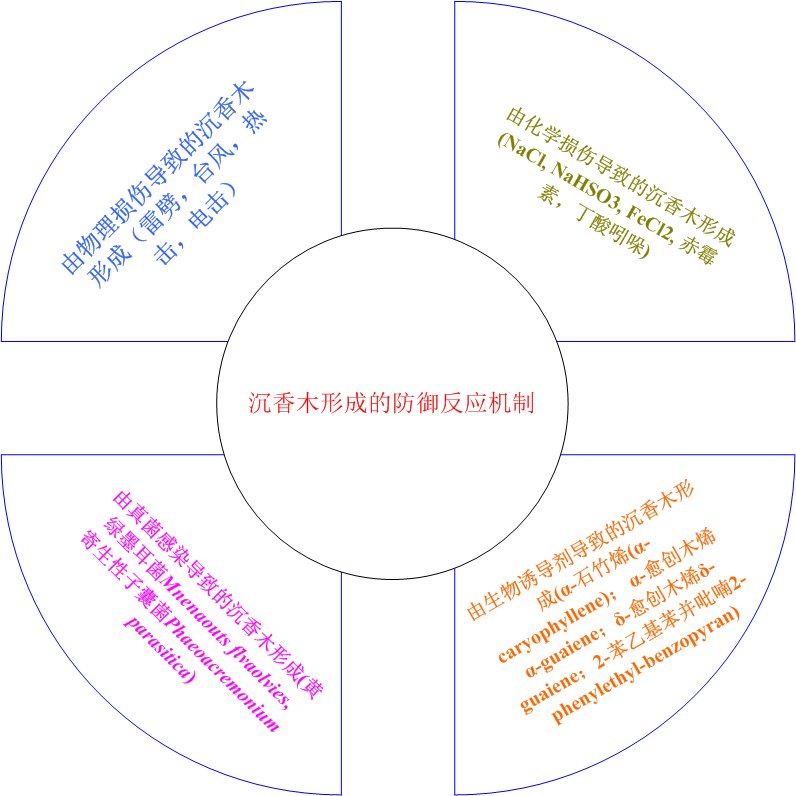 香精与香料(33)—沉香螺醇与沉香油