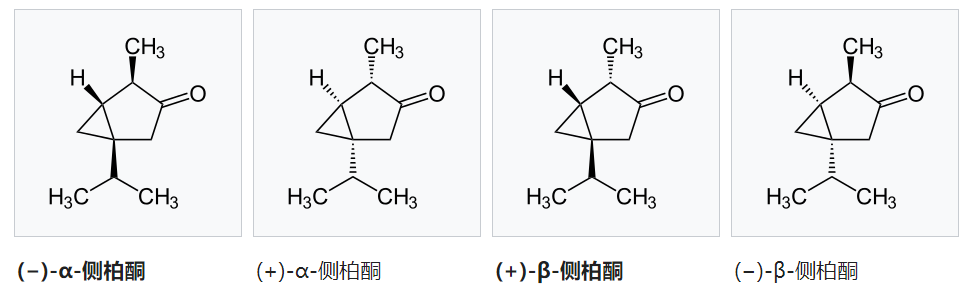 香精与香料(48)—侧柏酮(Thujone)与侧柏