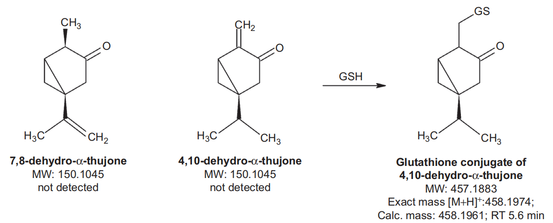 香精与香料(48)—侧柏酮(Thujone)与侧柏