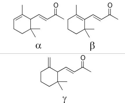 香精与香料(54)—紫罗兰酮(ionone)