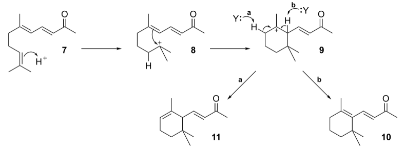 香精与香料(54)—紫罗兰酮(ionone)