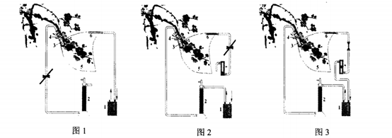 香精与香料(74)—梅花香