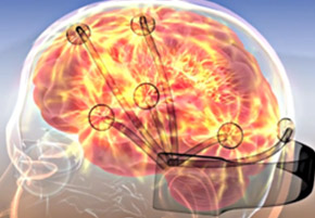 消费者神经科学研究&香精