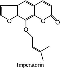 香精与香料(78)—香白芷