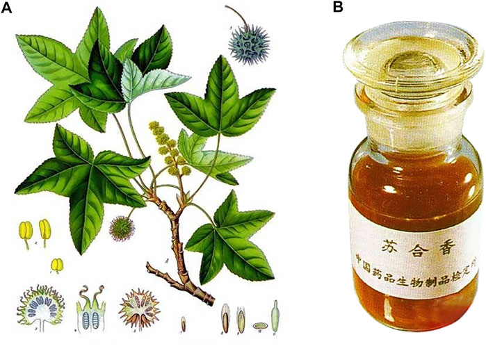 香精与香料(82)—苏合香(Storax balsam)