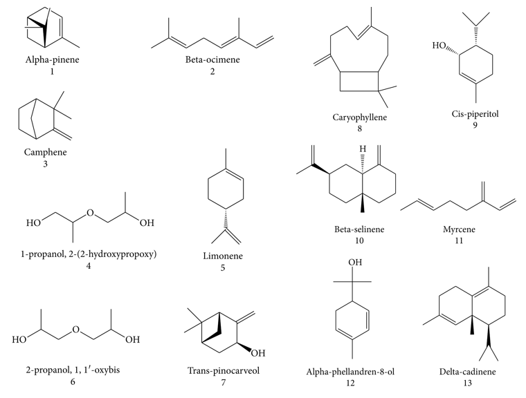 香精与香料(83)—乳香(Frankincense)