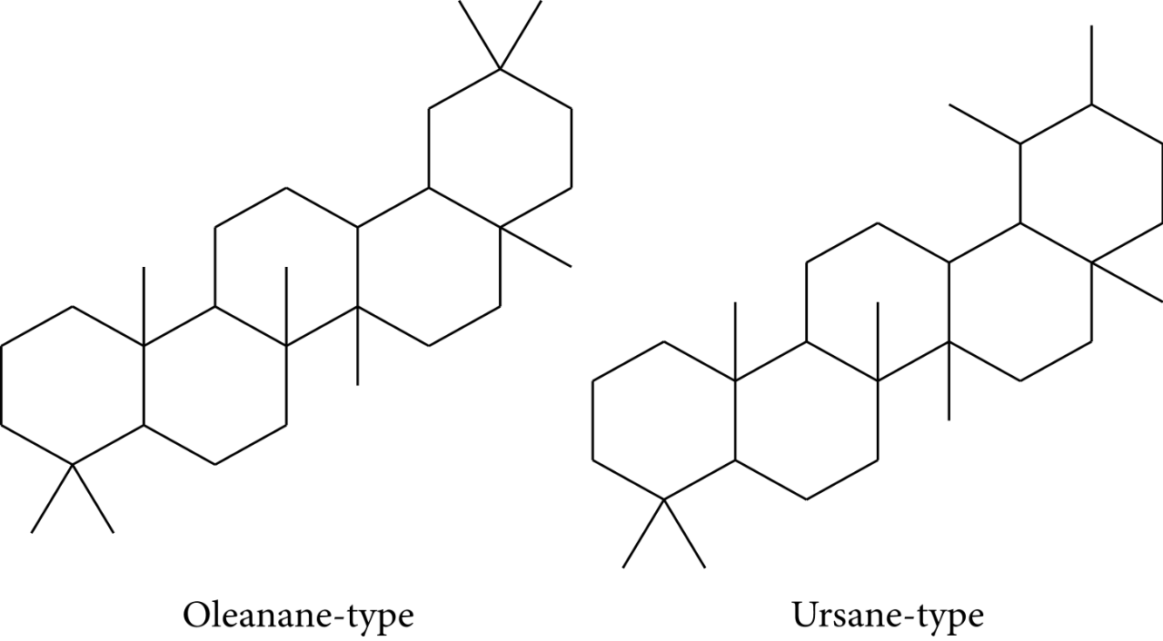 香精与香料(83)—乳香(Frankincense)