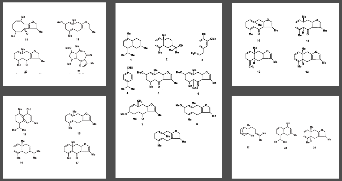 香精与香料(84)—没药香