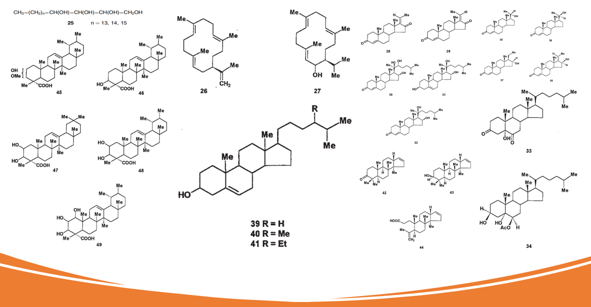 香精与香料(84)—没药香