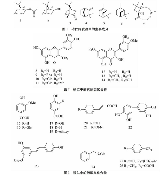 香精与香料(88)—砂仁