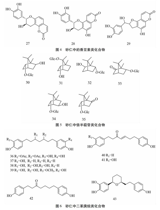 香精与香料(88)—砂仁