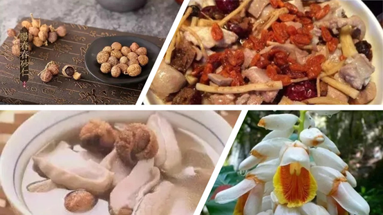 香精与香料(88)—砂仁