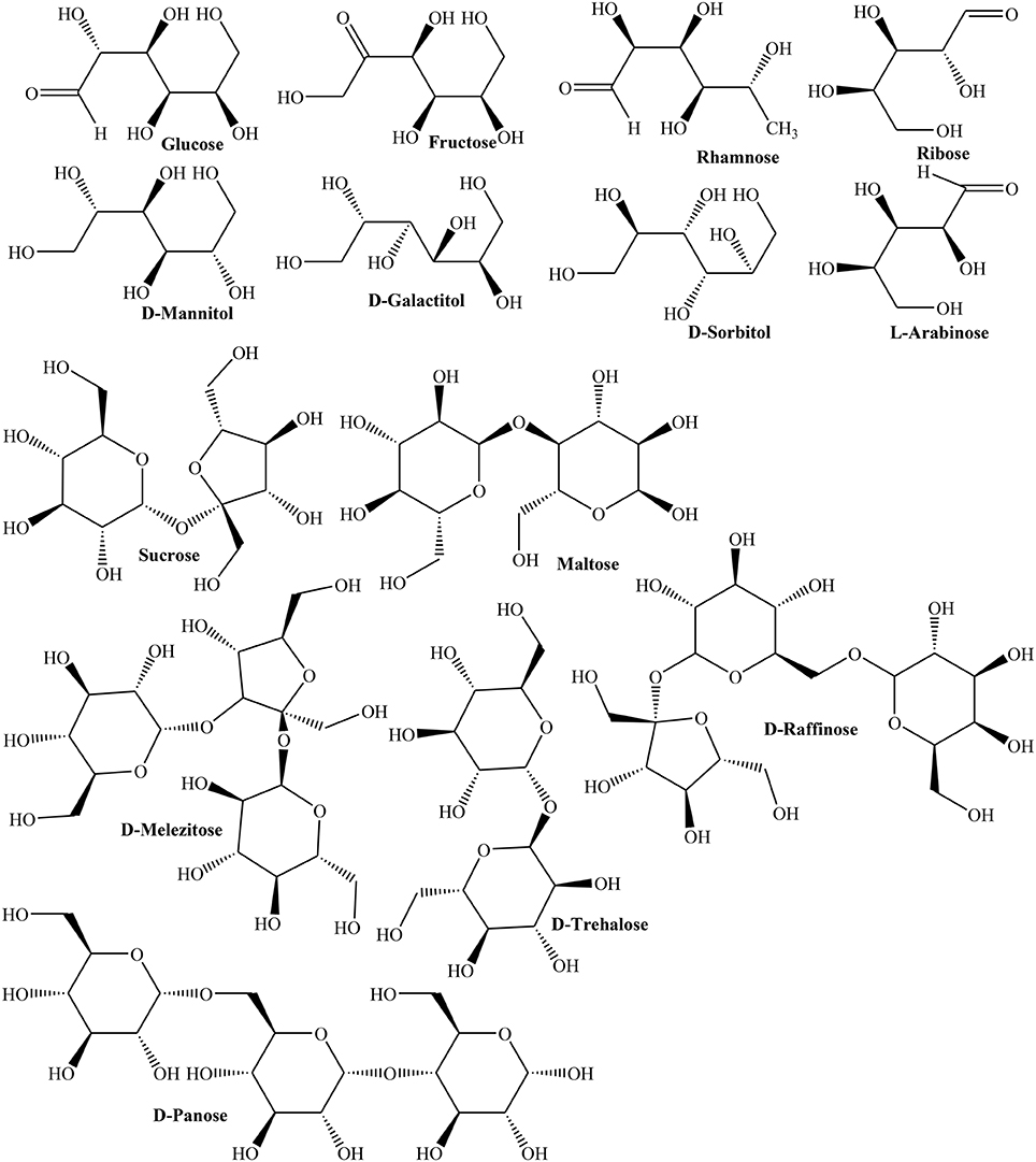 香精与香料(100)—榅桲