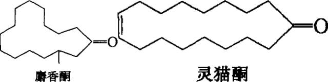 香水的香气从何而来？