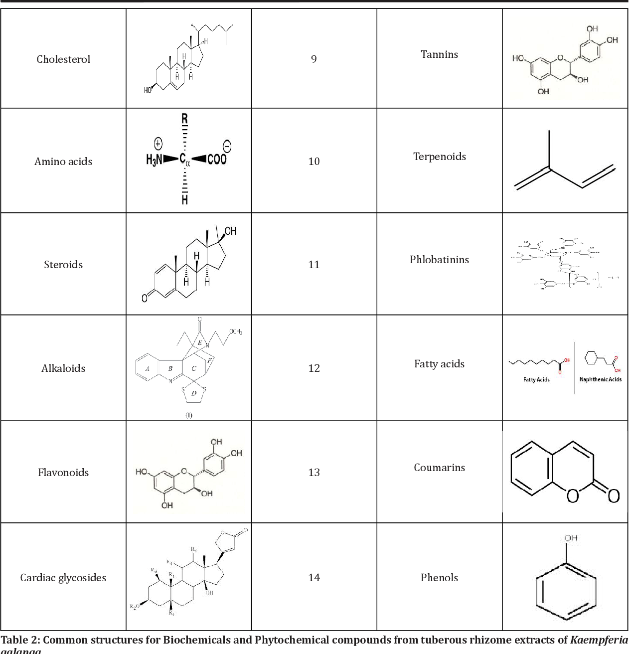 香精与香料(103)—山奈