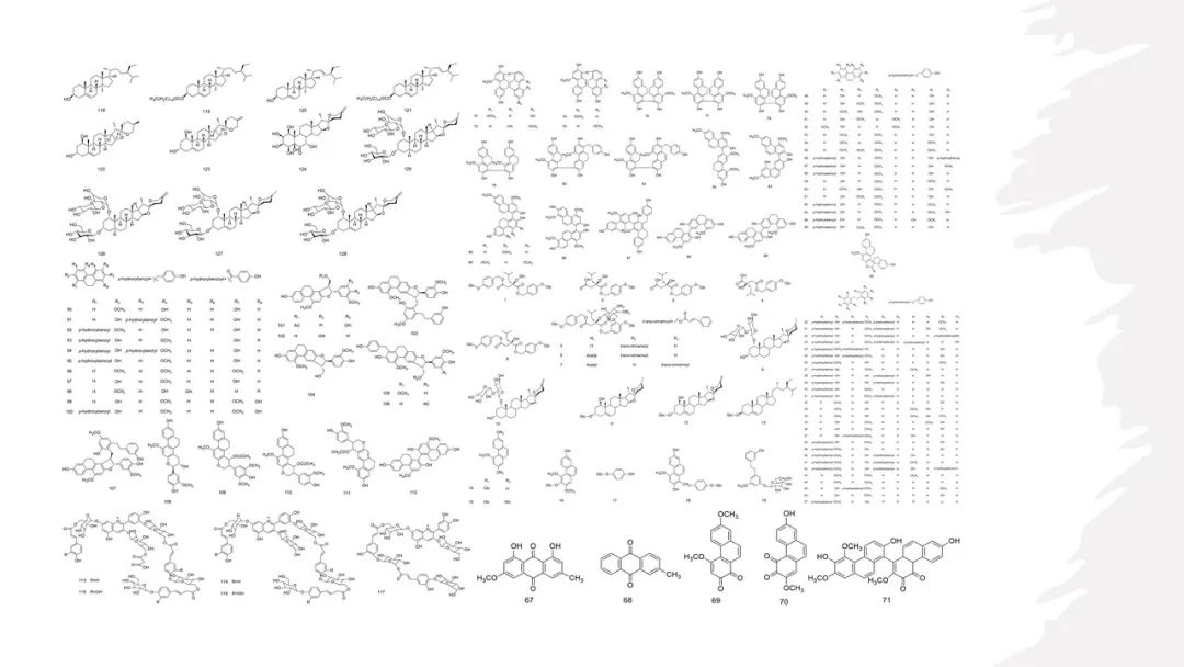 香精与香料(105)—白芨