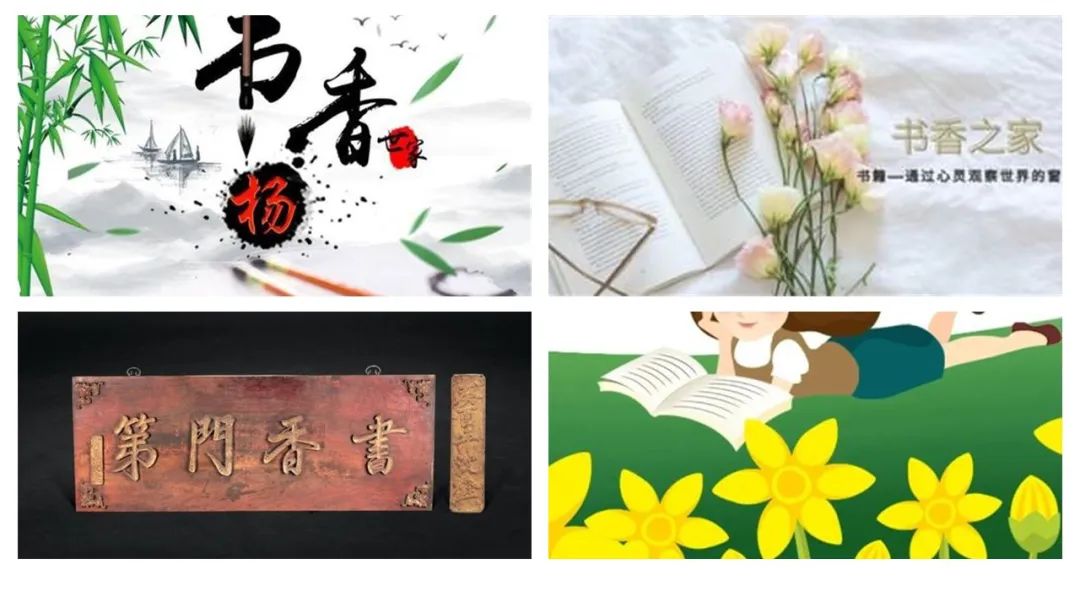 香精与香料(111)—芸香