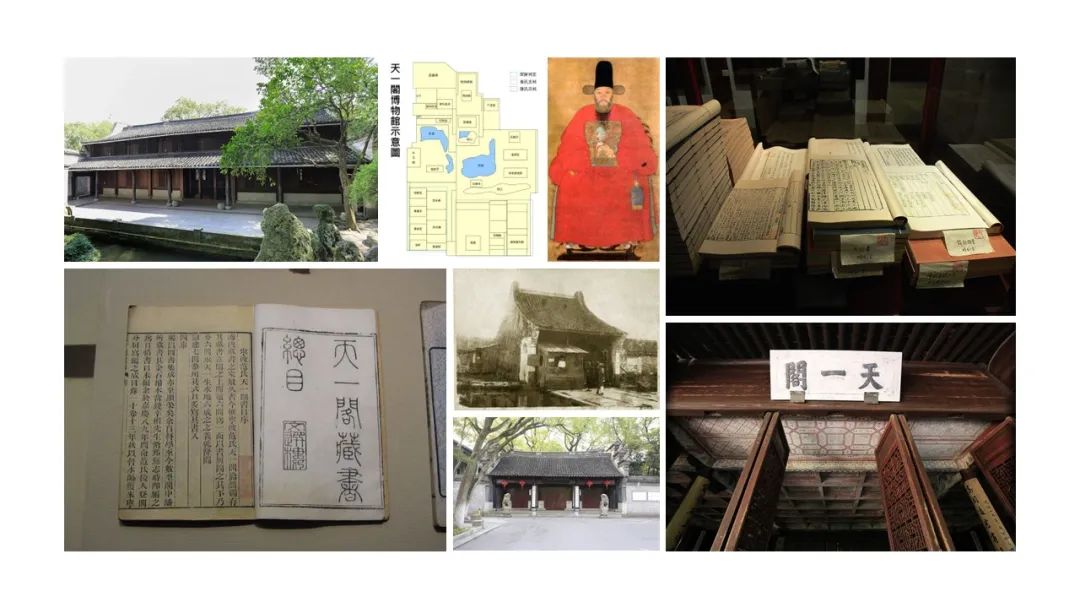 香精与香料(111)—芸香