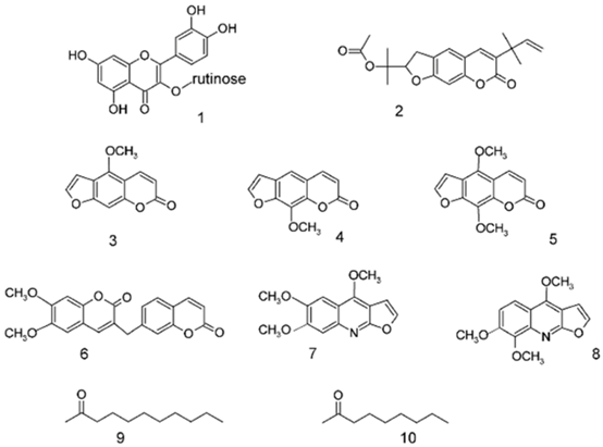 香精与香料(111)—芸香