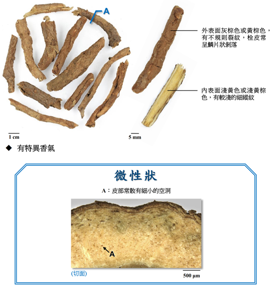 香精与香料(130)—五加皮