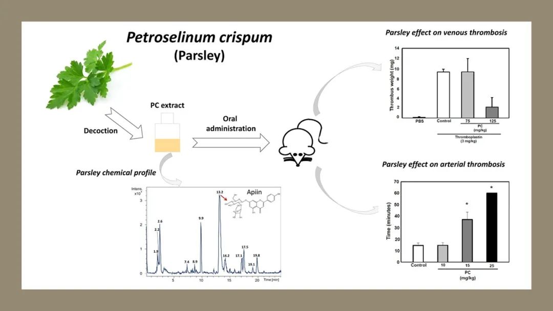 香精与香料(138)—欧芹Petroselinum crispum