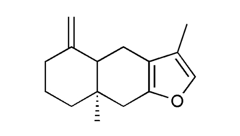 香精与香料(140)—白术