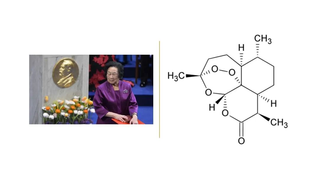 香精与香料(142)—青蒿