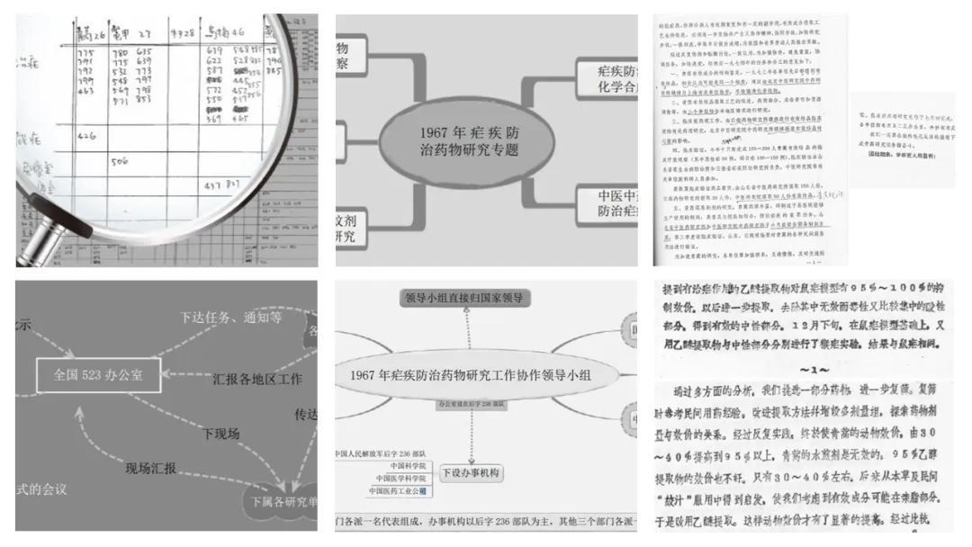 香精与香料(142)—青蒿