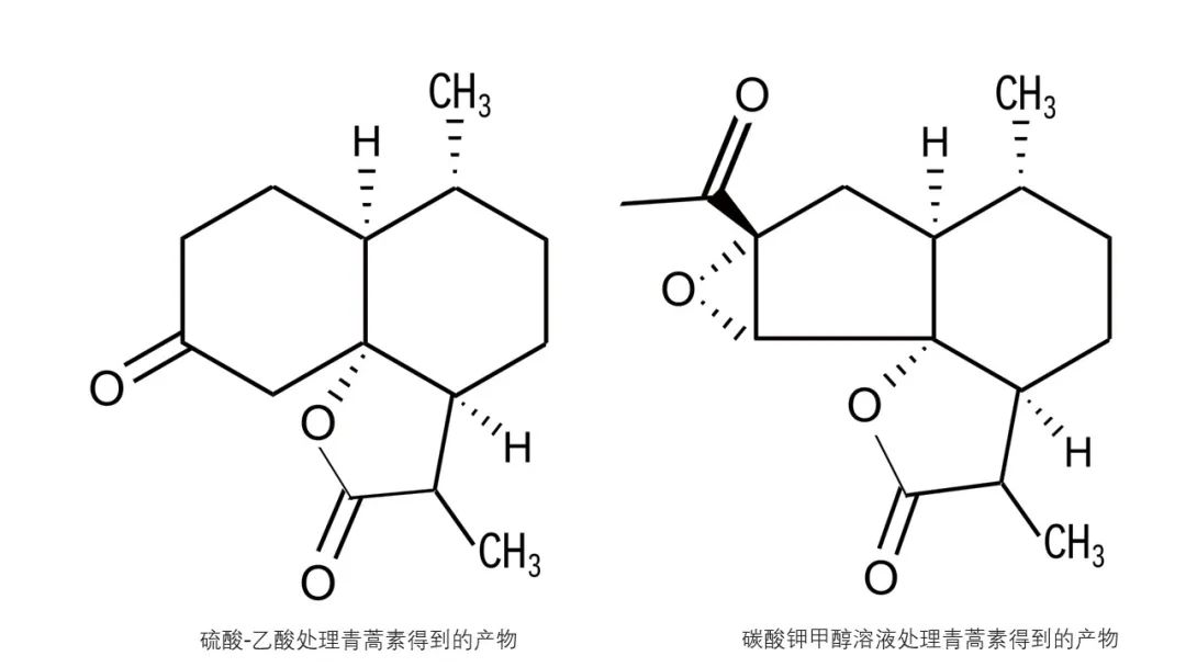 香精与香料(142)—青蒿