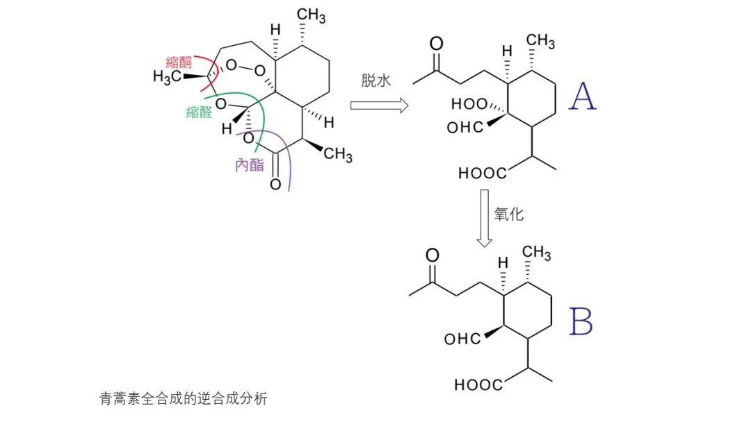 香精与香料(142)—青蒿