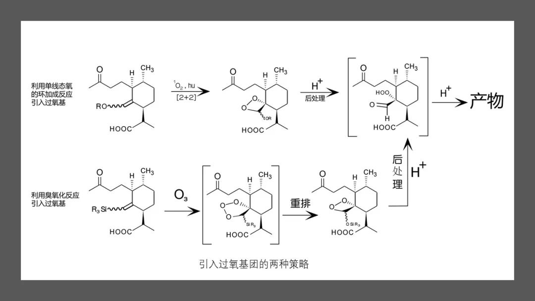 香精与香料(142)—青蒿