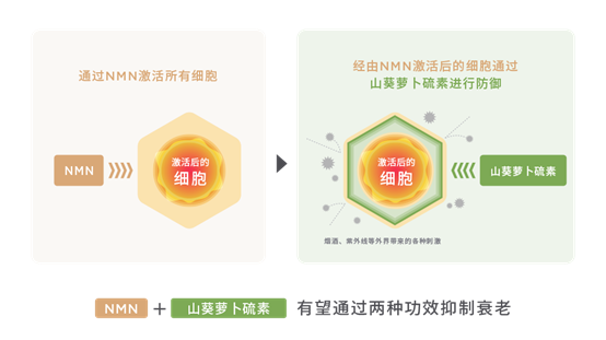 香精与香料(148)—山葵