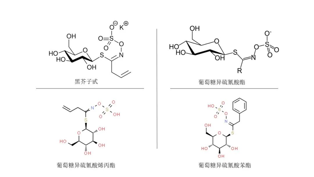 香精与香料(149)—辣根