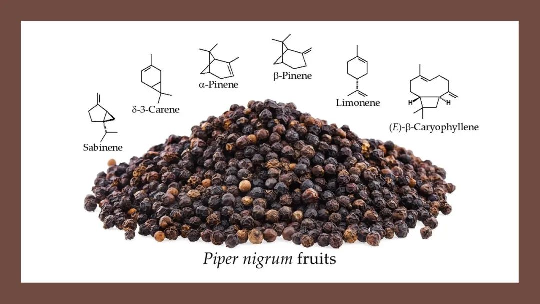 香精与香料(157)—胡椒