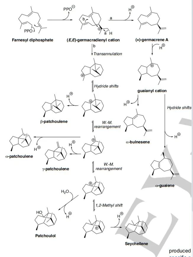 生物合成香料的化学组成、可持续性和天然性