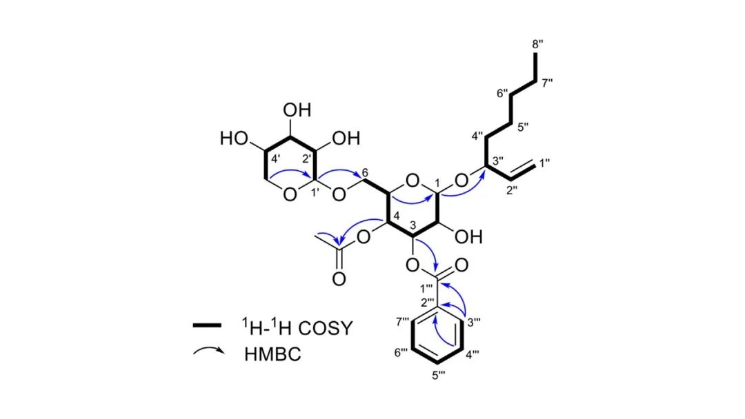 香精与香料(172)—凉粉草