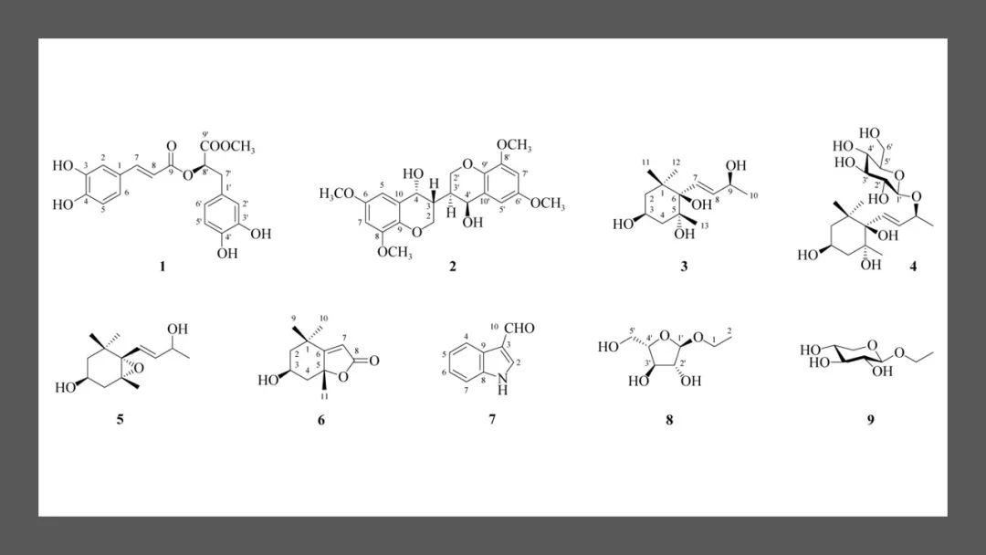 香精与香料(177)—溪黄草