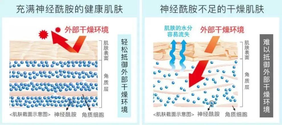 2022年护肤热门功效成分有哪些？