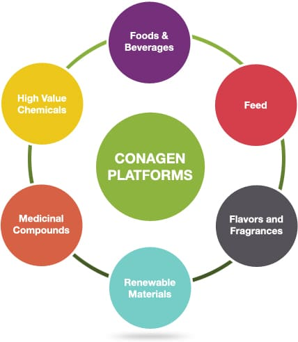 香料香精高新企业简介(2)——Conagen