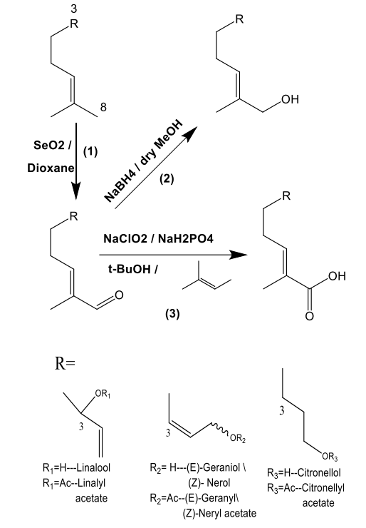 C-6不饱和无环单萜醇的结构-气味关系研究：一种比较的方法